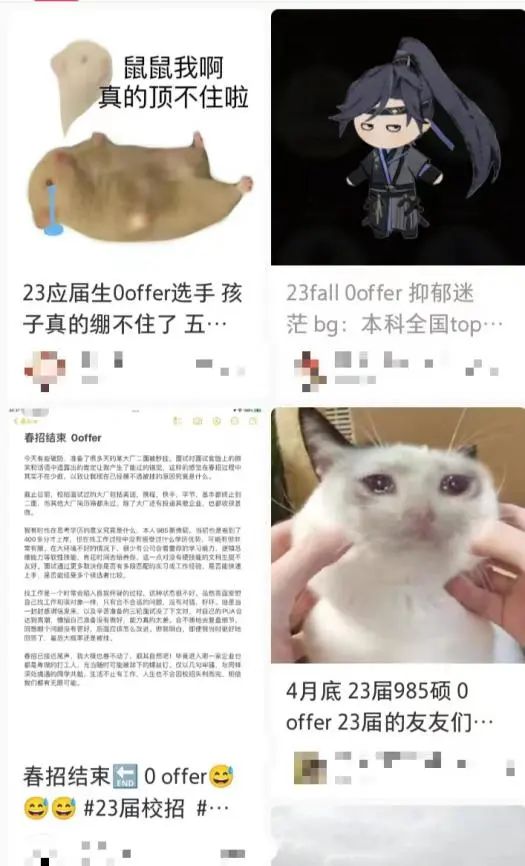 今年应届毕业生找工作好找吗,应届毕业生找工作找哪个更有市场