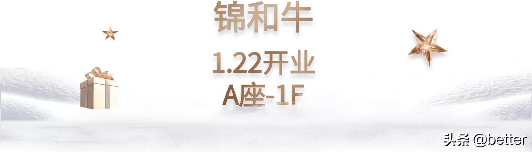 武汉武商广场圣诞,武商mall圣诞