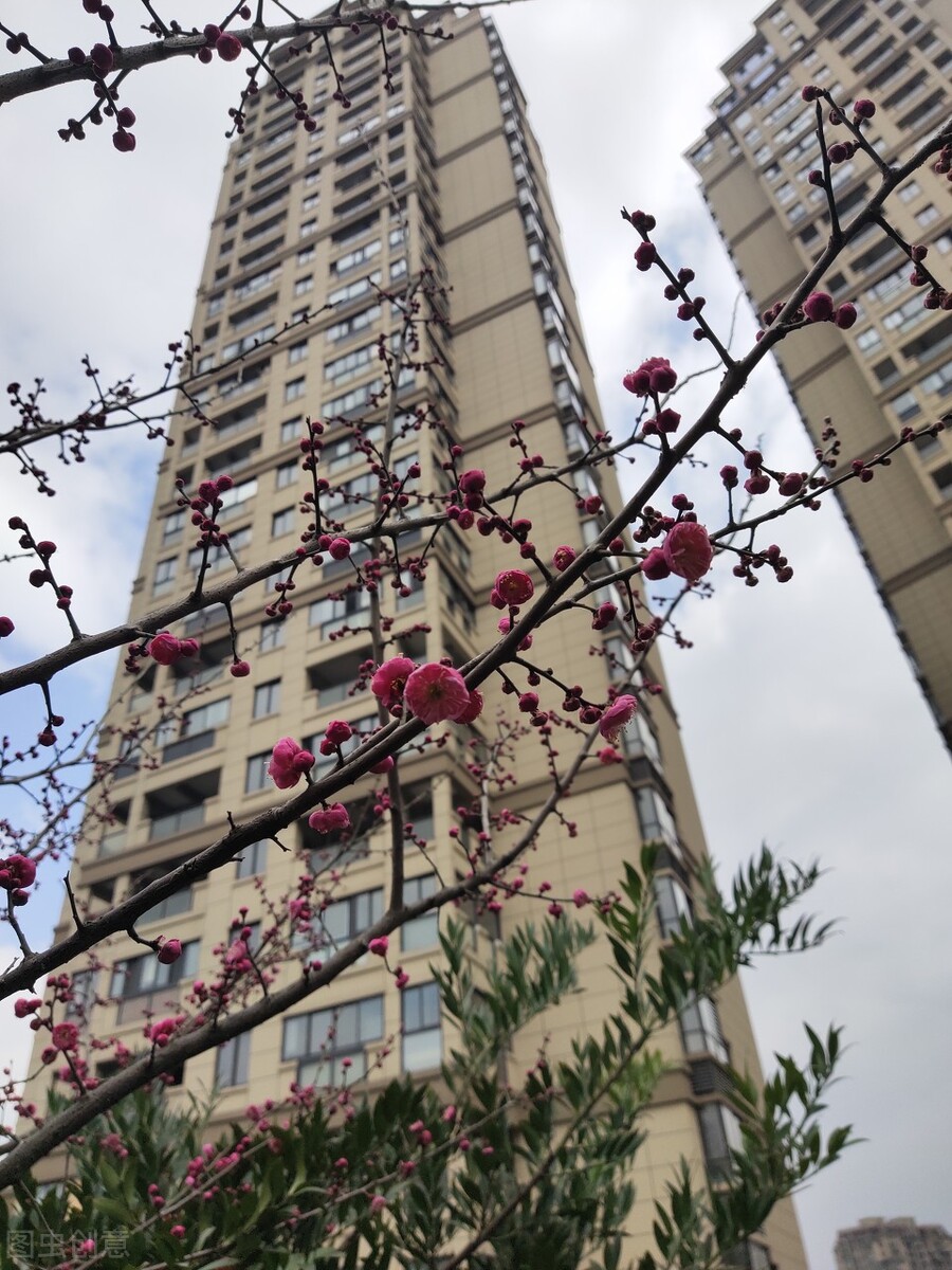 散文春天来了朗诵,散文春天来了朗读音频