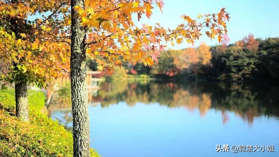 日本动漫圣地宫崎骏吉卜力美术馆,宫崎骏吉卜力美术馆购票攻略
