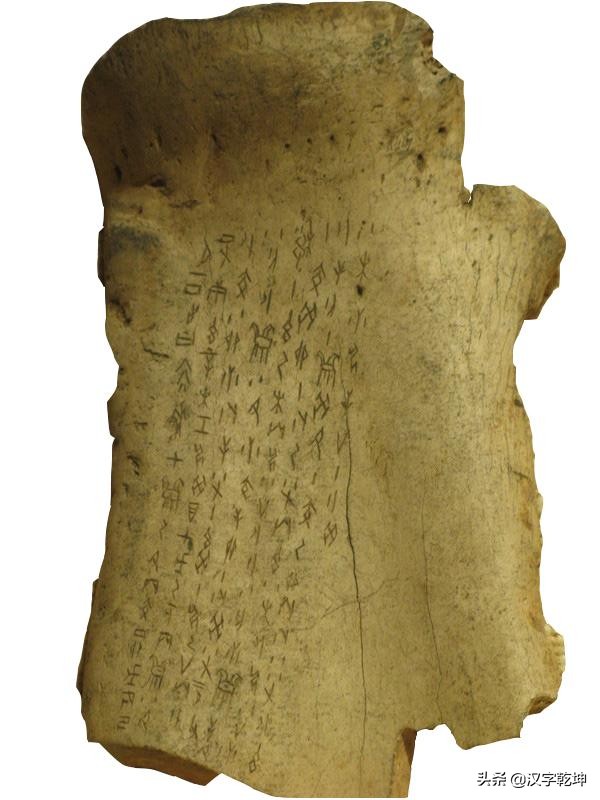 甲骨文为什么被称为龙骨,龙骨和甲骨文有什么关系