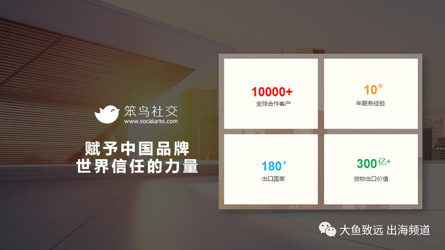 紧抓外贸电商风口从废墟中站起来的女人四年从100万到2亿笨鸟社交