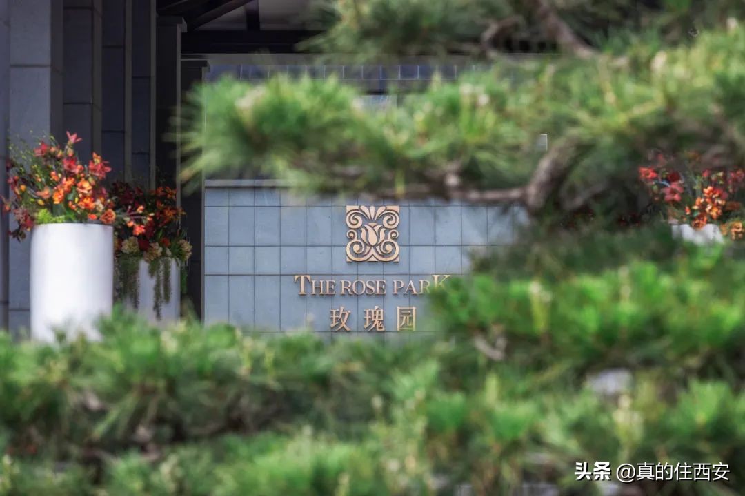 西安中大国际九号二手房,西安高新区中大国际在售房子