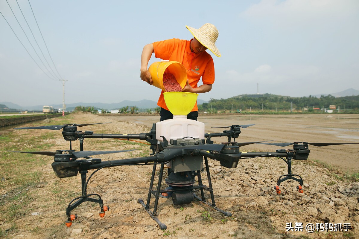 智慧农业保障早稻丰产,水稻高效智慧农业应用技术