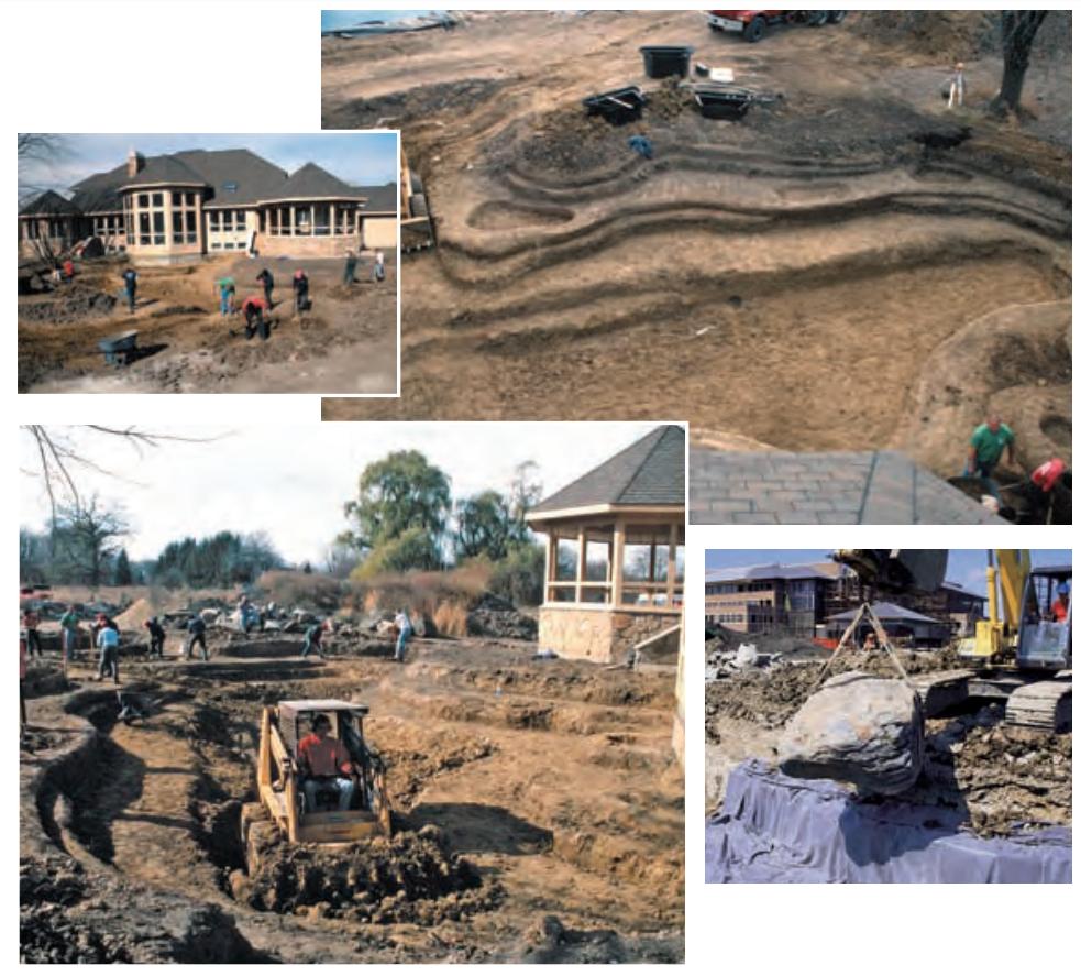 生态缸为啥不长藻不出绿水,生态缸为什么养不活虾