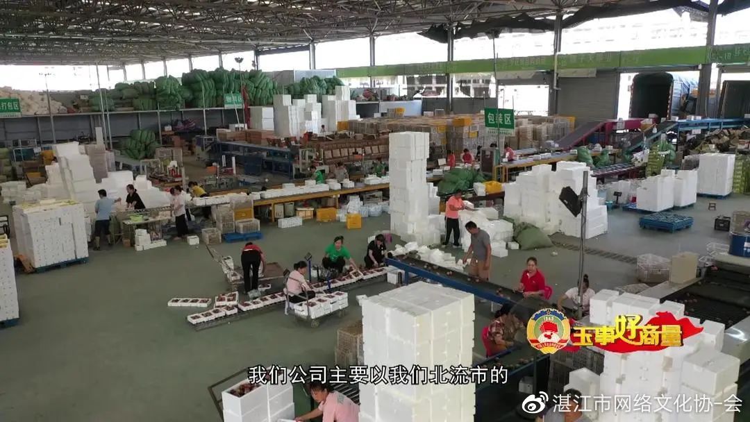 玉事好商量第5期,遇事好商量视频