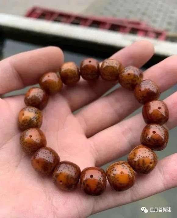 星月菩提石玉料和玉化料区别,星月菩提玉化料与石玉料区别