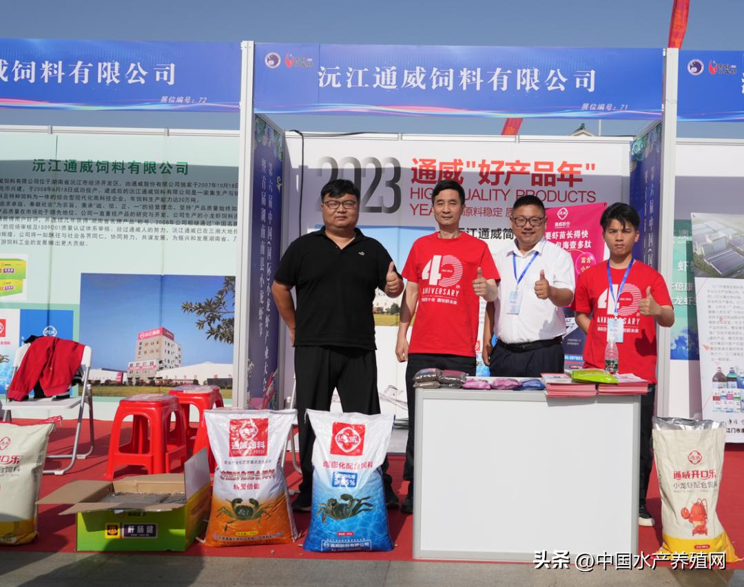 2023年南县小龙虾价格行情,南县小龙虾价格报价