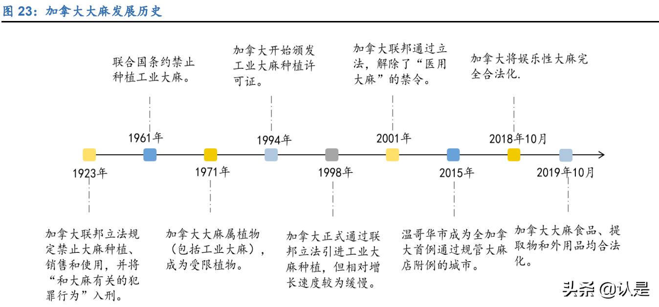 工业大麻的未来发展,工业大麻的未来前景