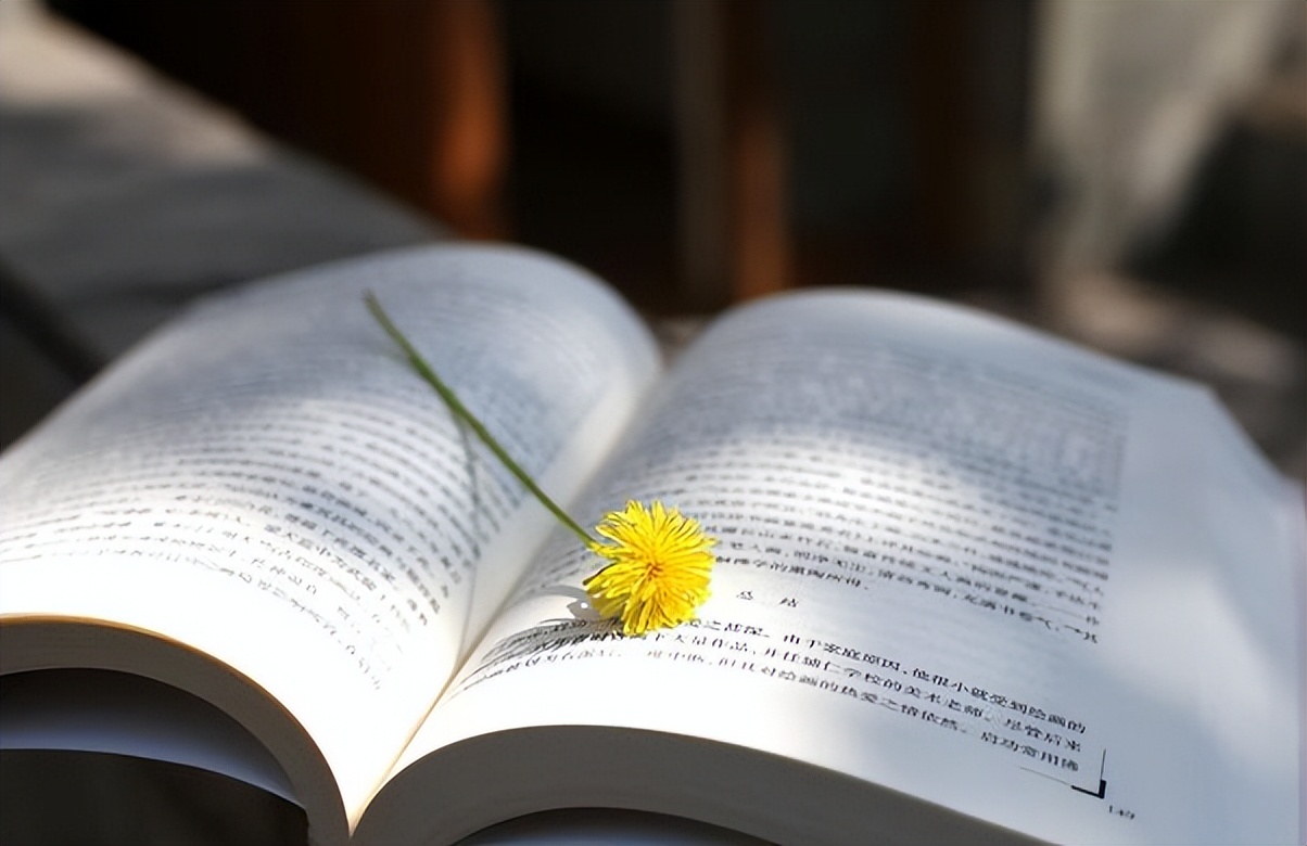 平行志愿投档线怎么确定,填志愿最低投档线怎么确定出来的