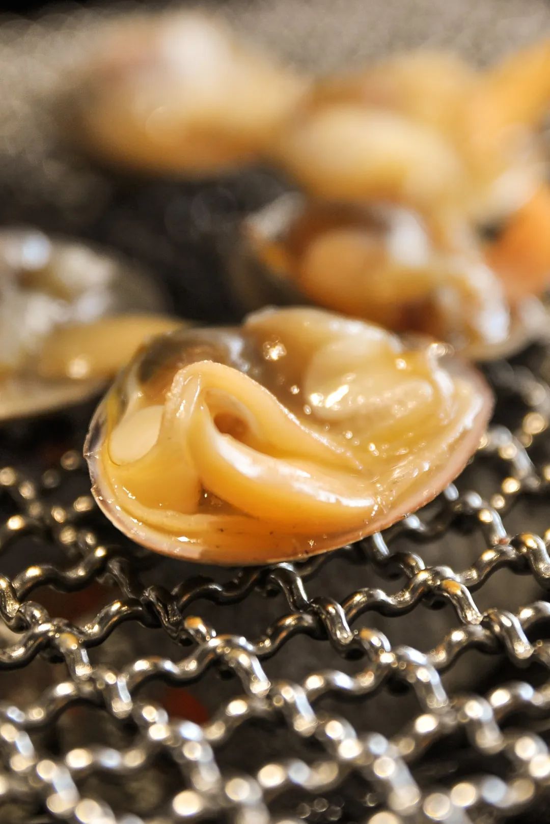 在这座隐藏的海鲜大城，人均黄蚬子自由