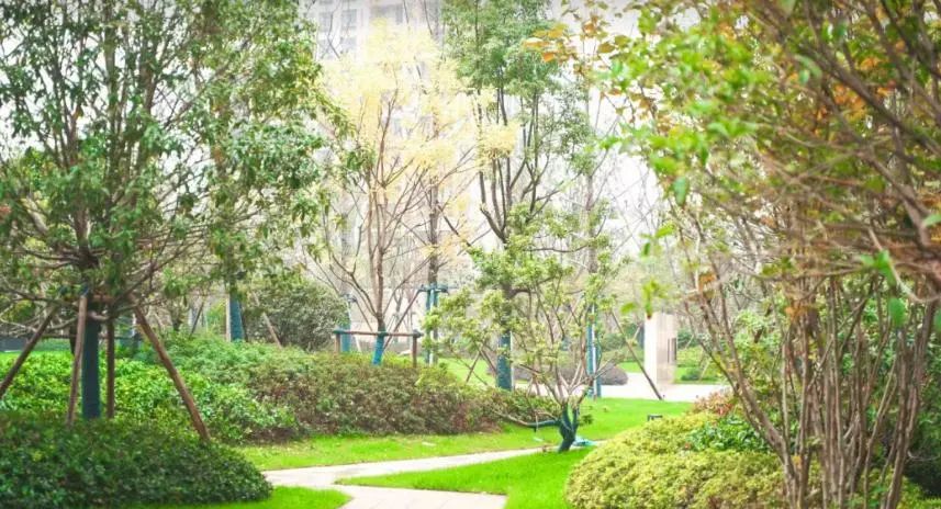 武汉新房出货图片,今年武汉新房交房有哪些地方