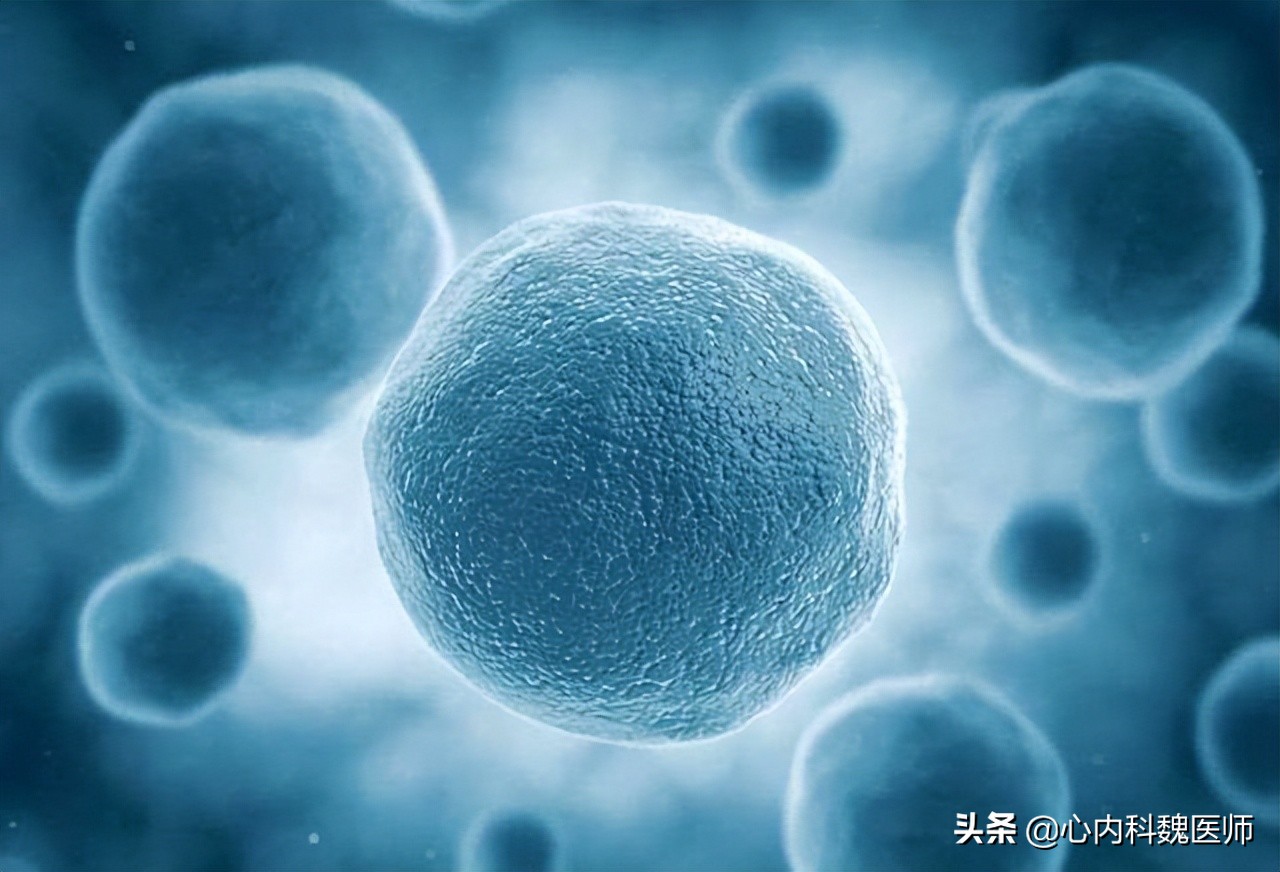 男性可以吃叶酸预防心脑血管疾病,男性补充叶酸对精子的影响