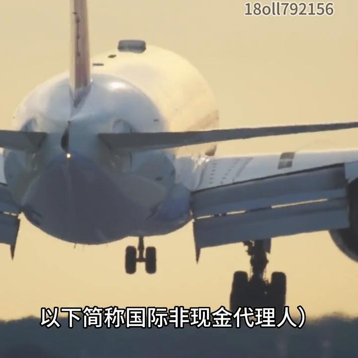 Golite机票销售代理人资质办理#机票