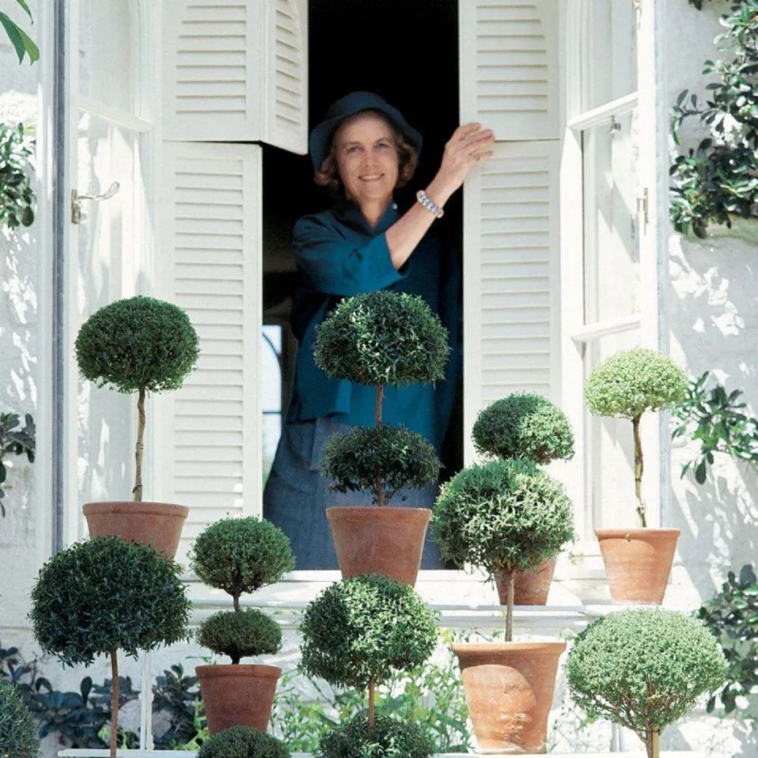 她是顶级豪门家族的千亿儿媳，一生低调，却连总统夫人都羡慕不已