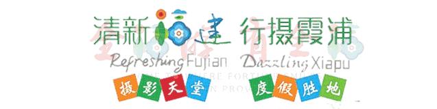 华丽舞蹈培训营,高贵典雅国标舞华尔兹交谊舞教学