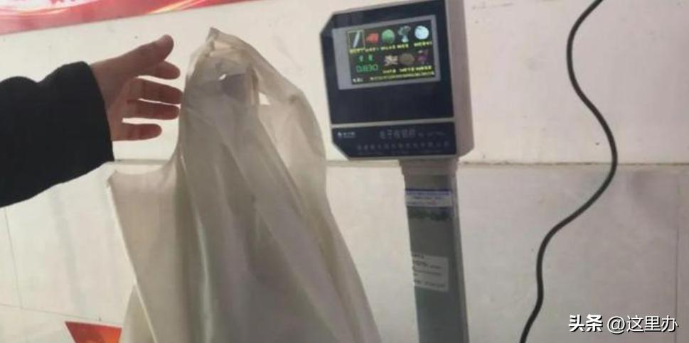 守望都市长春农博会,守望都市新闻线索