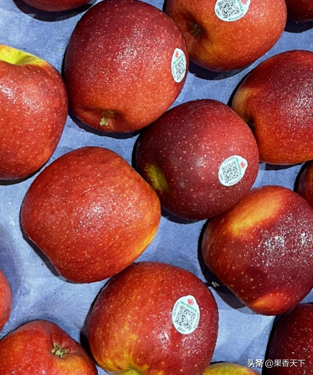 众成三号苹果新品种,最新最全苹果新品种