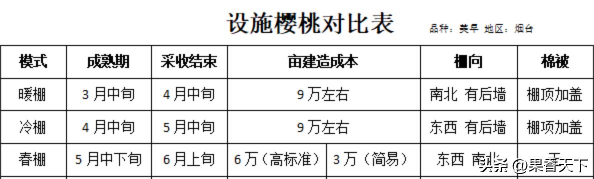 最有潜力早熟大樱桃,农村人种植大樱桃
