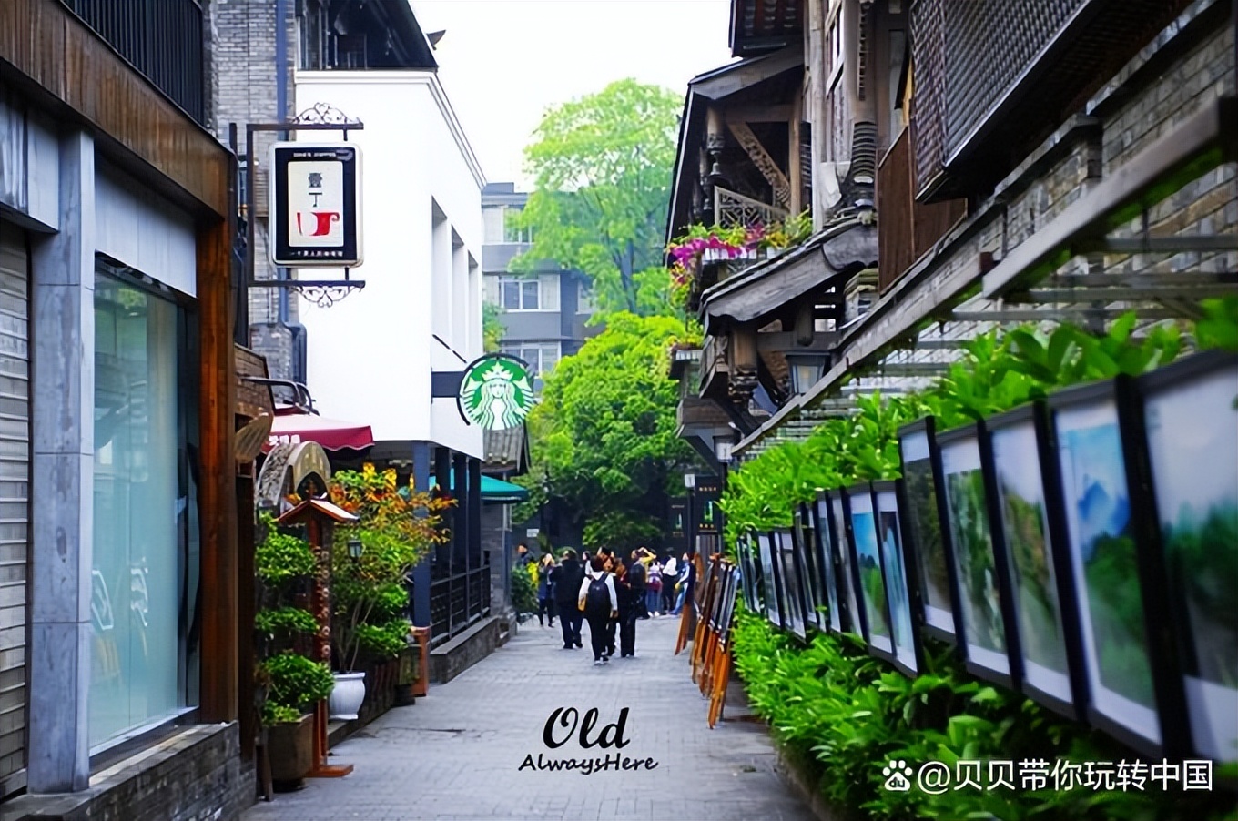 成都旅游3-4天跟团优惠套餐,成都旅游要跟团吗