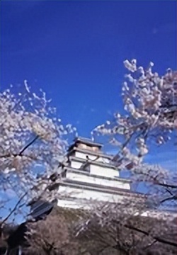 日本“后宫”女厕，便池深18米，全球独一无二，为何这样设计？