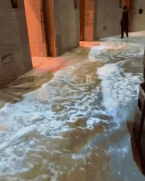 30张活久未见的图片,30组活久见的照片