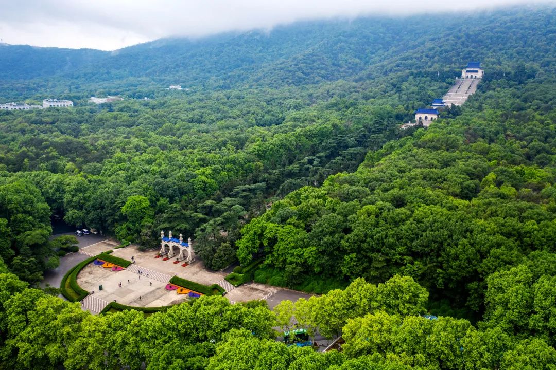 南京今日交通拥堵状况,南京交通拥堵的解决办法