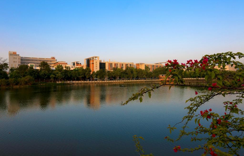 河源职业技术学院3+1证书分数线,广东高职高考3+证书有哪些好学校