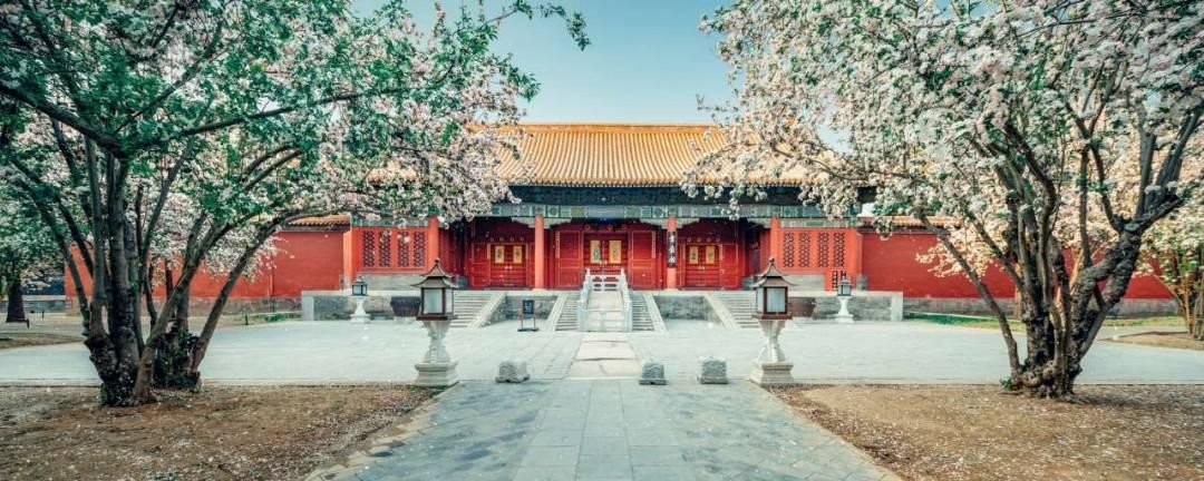 10首经典爱国诗词赏析,爱国诗词朗诵2-3分钟我的梦中国梦