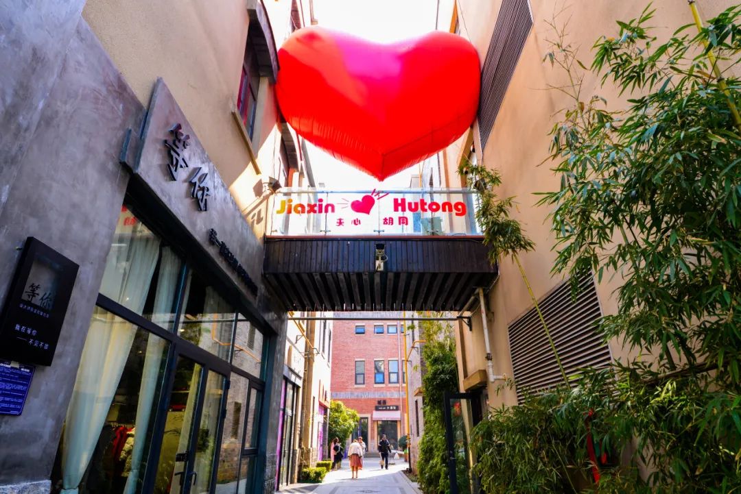 济南温暖了这个冬天,济南的冬天依然靓丽