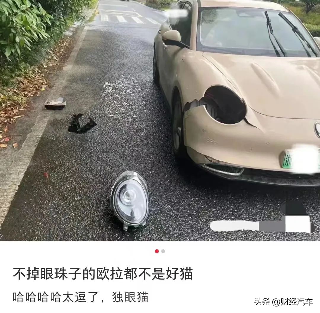 被割韭菜的欧拉车主,欧拉猫割韭菜