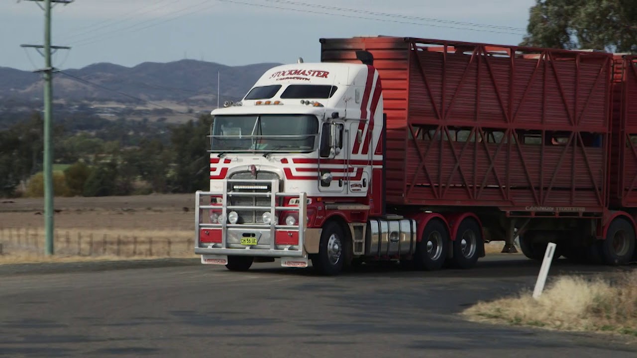 为何作为化肥的尿素，竟会让两个发达国家的卡车先后“停摆”？