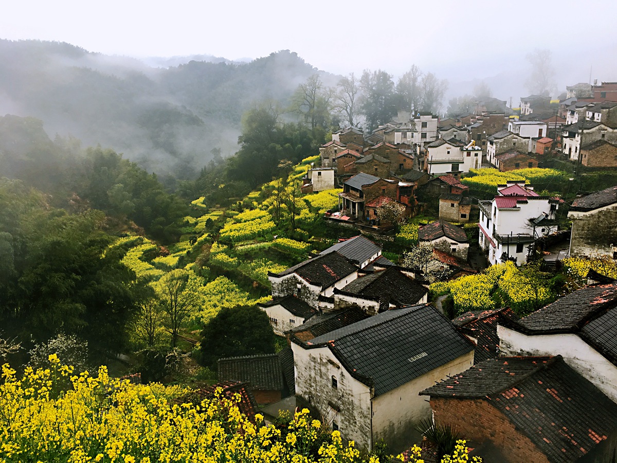 春色满园风景摄影,婺源摄影写真
