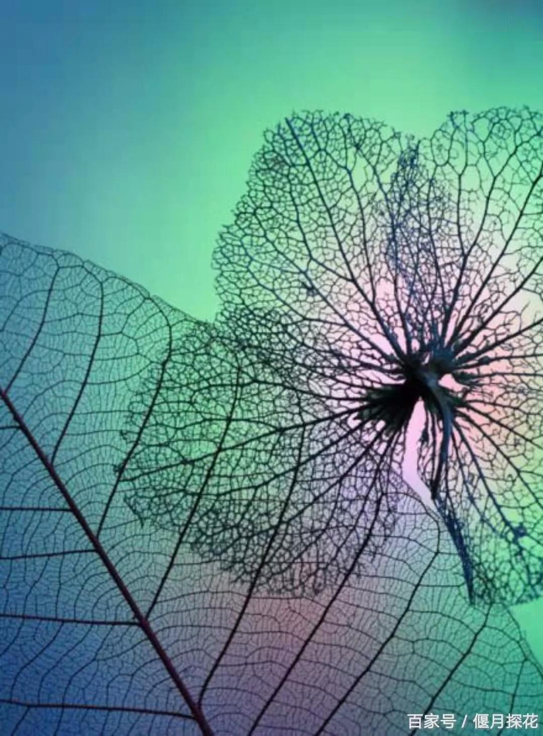 借给别人钱是在增加自己的福报吗,借给别人钱是自己最大的错