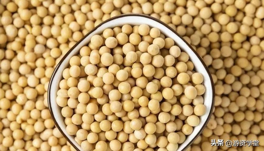 巴西大豆出口贸易现状及对策,巴西大豆对华出口