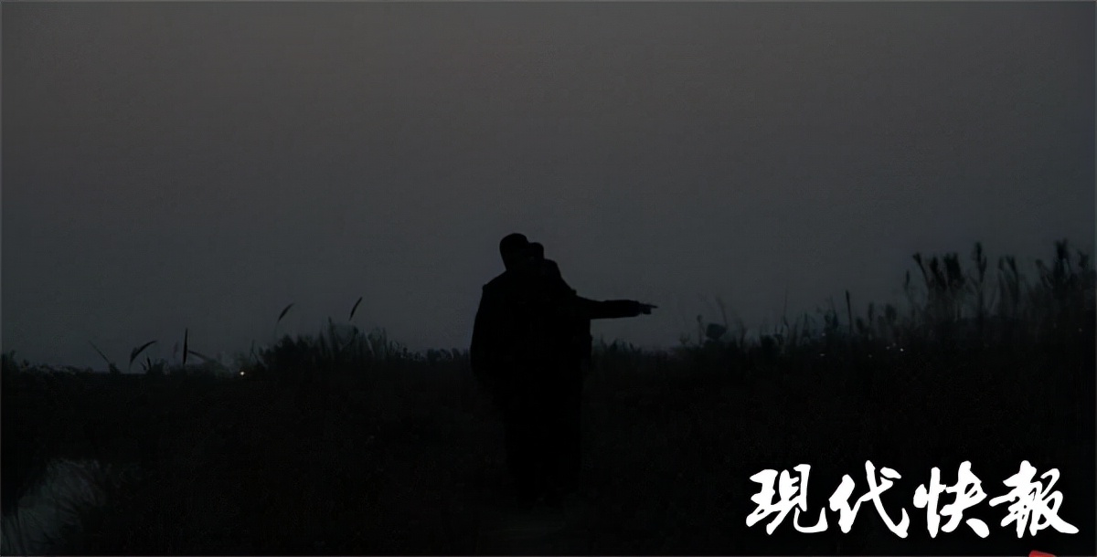盐城海边偷猎为何屡禁不止？记者实地调查：芦苇荡里的“捞金”生意