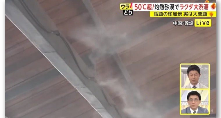 日本记者敦煌堵骆驼,日本记者直播连线冰墩墩