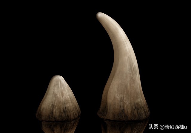 犀牛角的特殊用处,犀牛角有什么特殊用途
