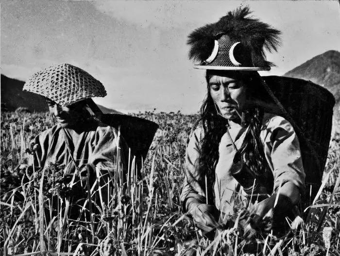 致敬墨脱的军人,不舍西藏墨脱退伍老兵泪别边关