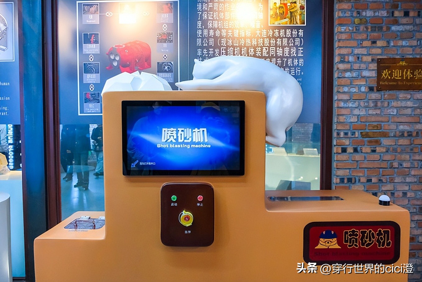 大连一日游都可以玩什么,大连一日游旅游攻略