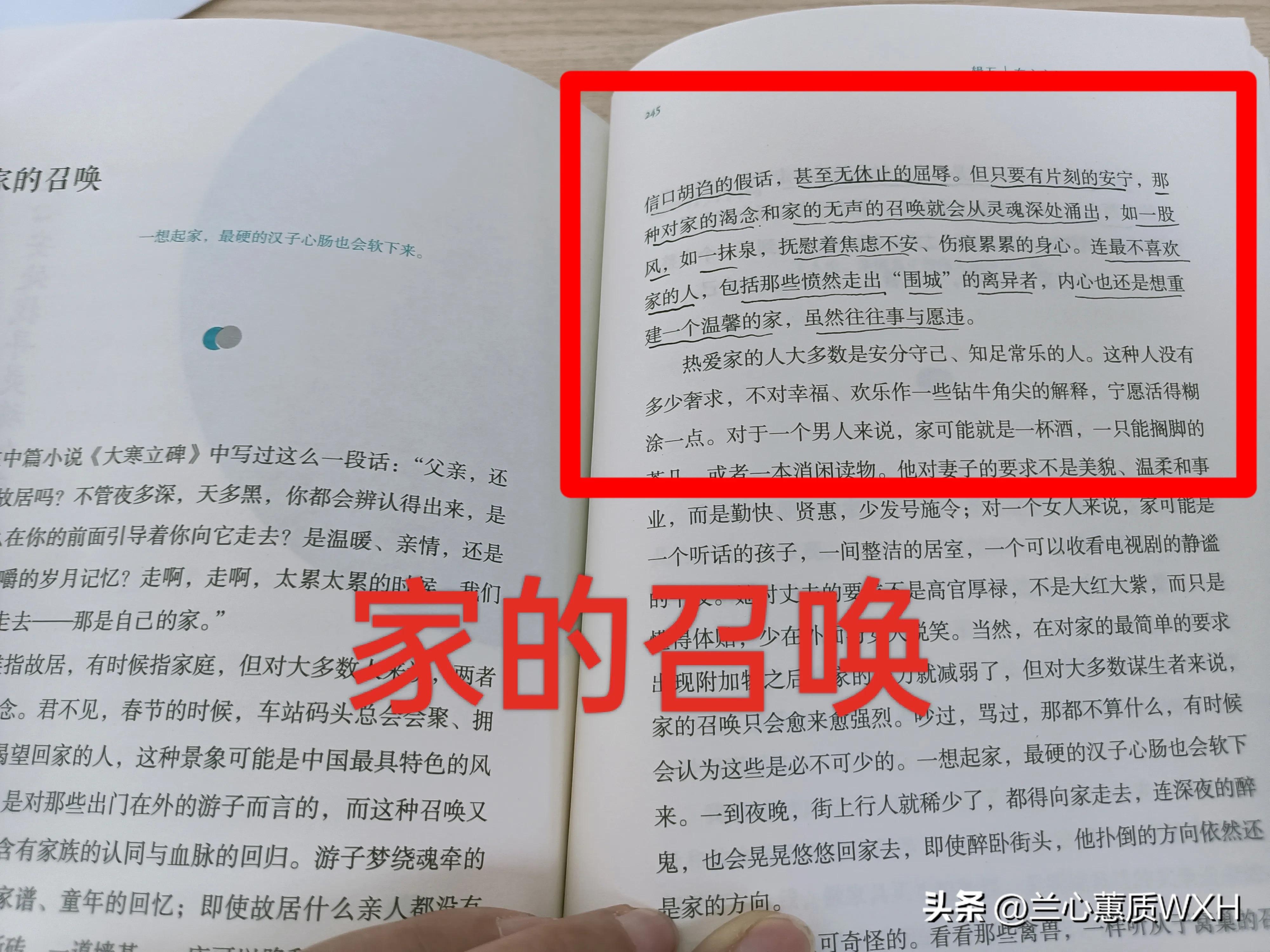 朝向一朵花的盛开豆瓣,朝向一朵花的盛开小说豆瓣