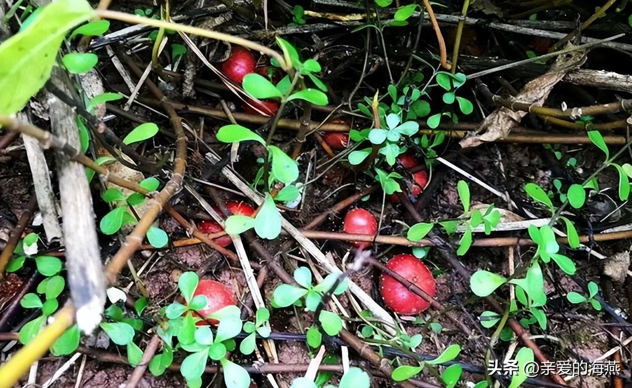 8090怀旧经典零食你都吃过哪些,中国最怀旧的58种经典零食