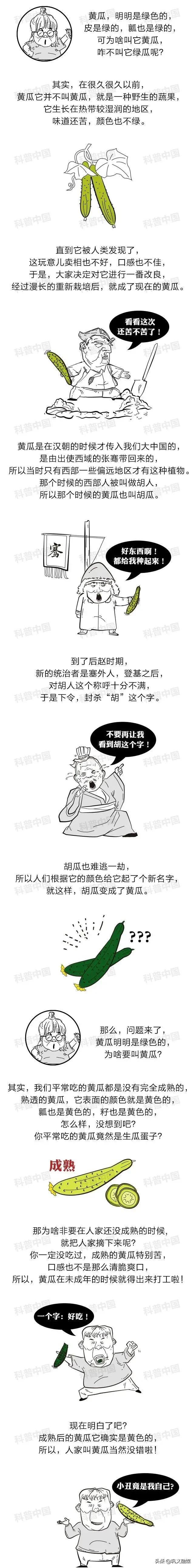 相声黄瓜明明是绿色为什么叫黄瓜,明明是绿色的为什么叫黄瓜呢