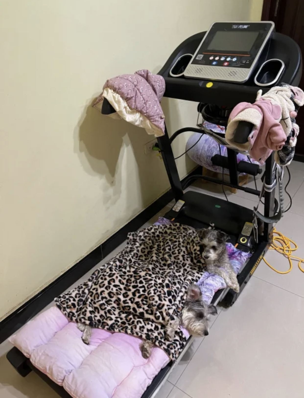 12件家居好物,哪些家居用品其实根本没必要买