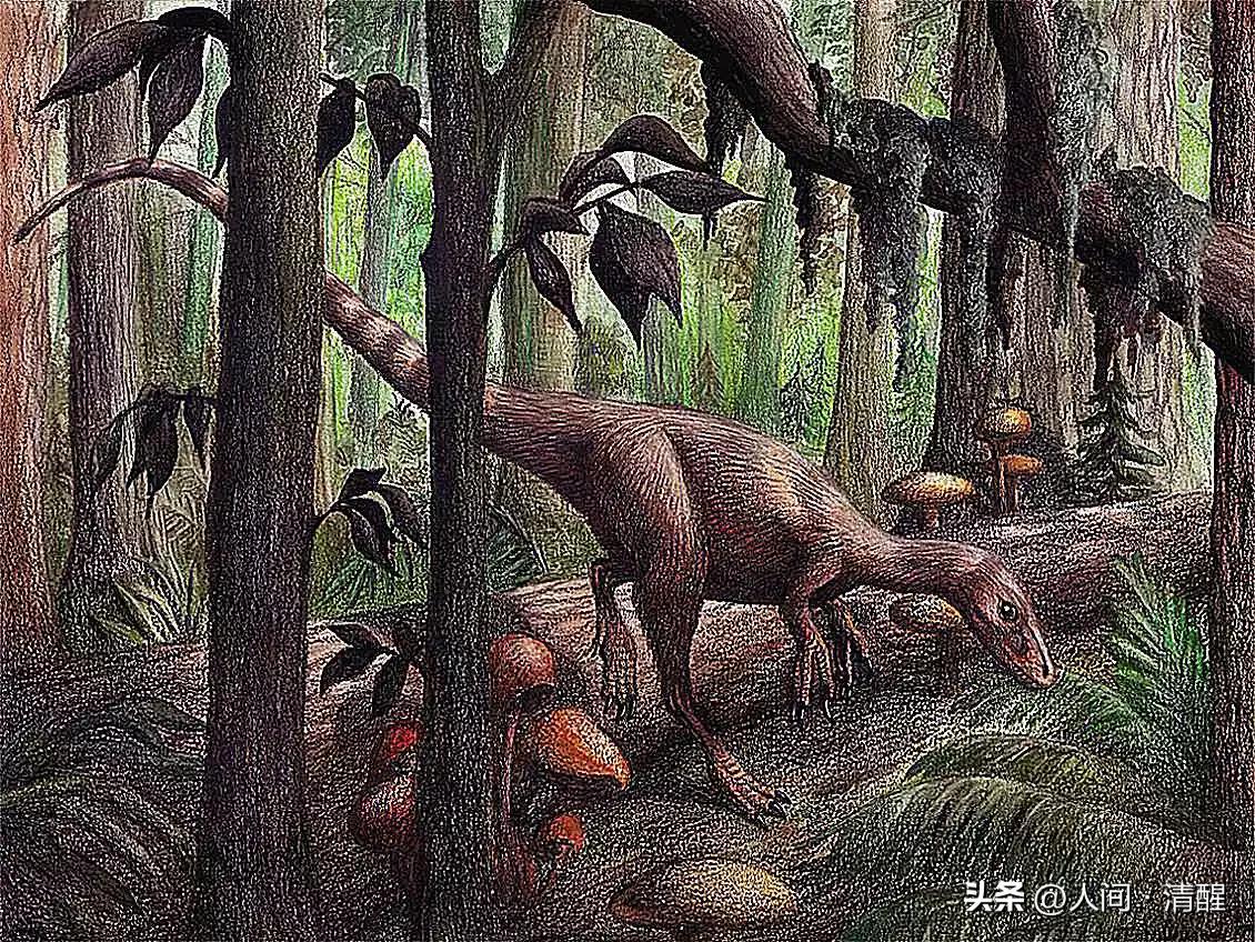 首次挖掘带羽毛的恐龙图片,全部带羽恐龙介绍纪录片