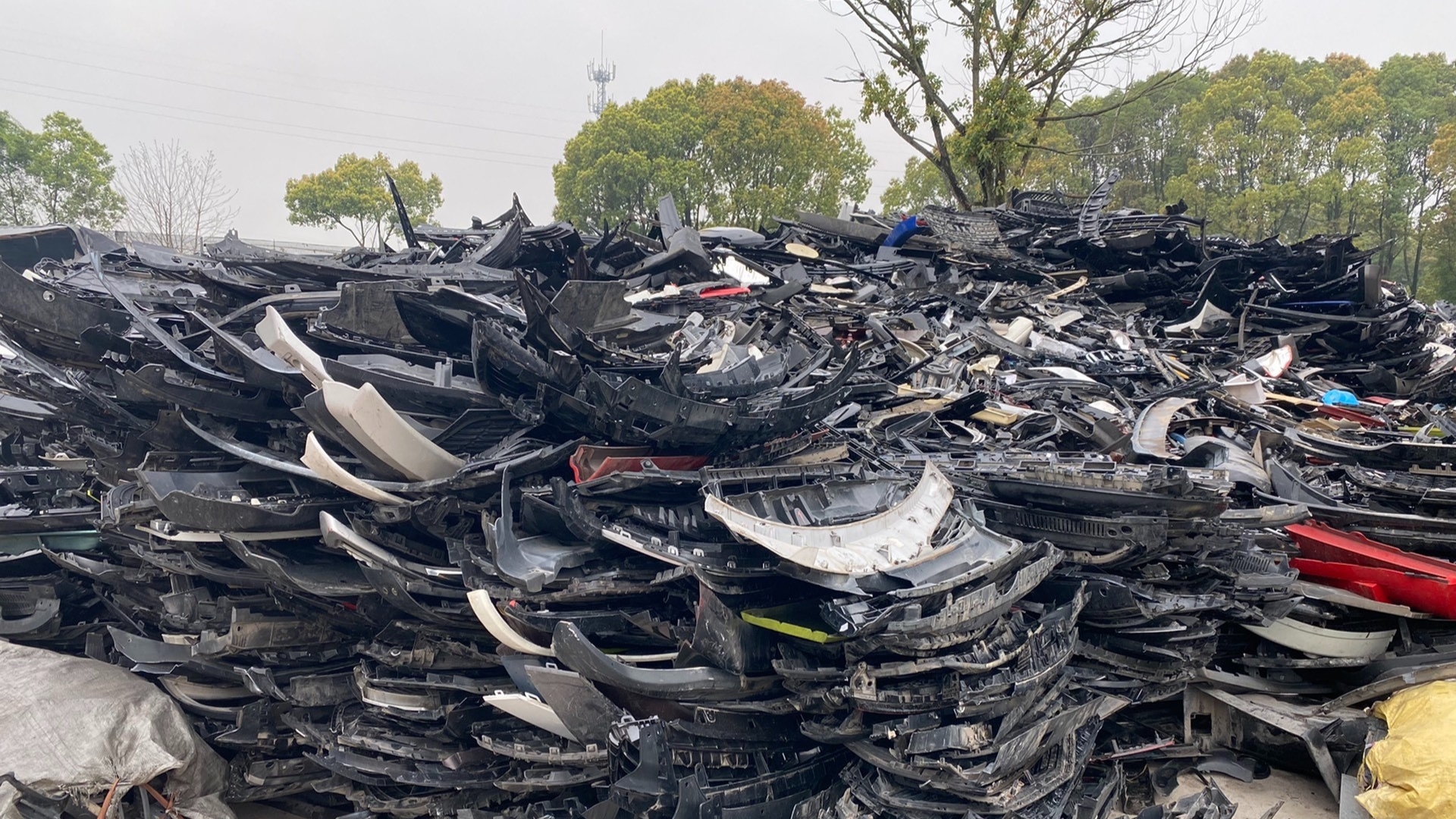 冷门创业闷声发财,谁说小本生意不赚钱