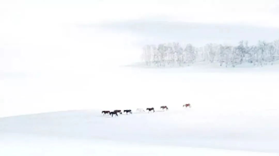 黑龙江哪里有雪景列车,黑龙江雪国列车