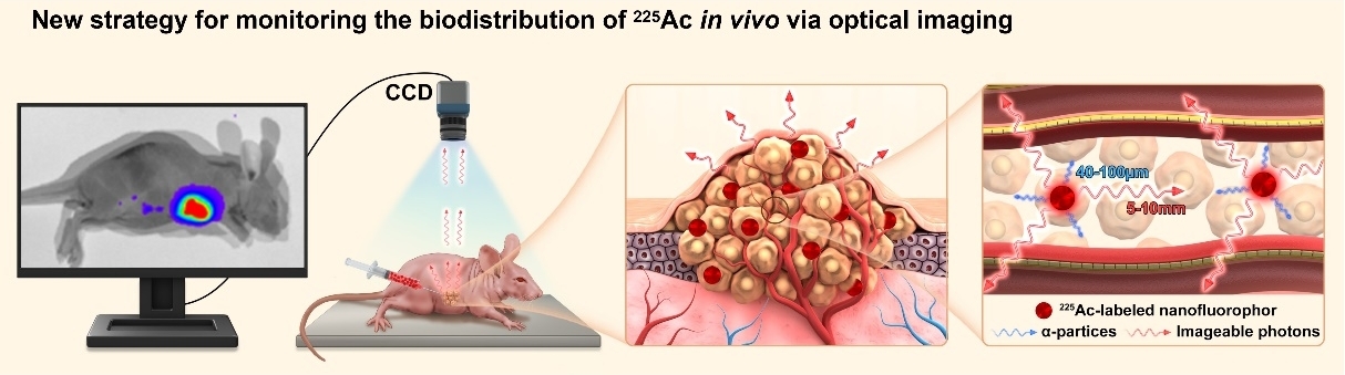 兰州大学研究核技术,兰州大学研制高分子中子探测器
