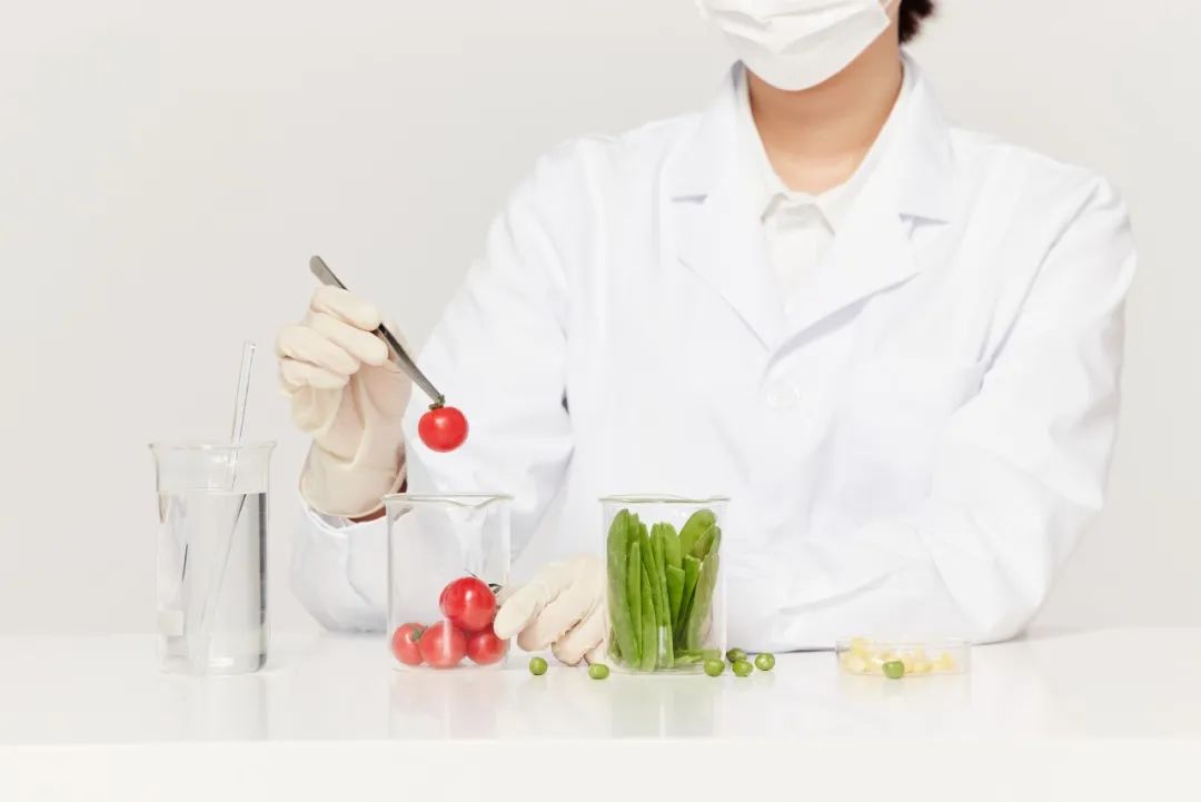 2022年食品科学与工程院校排名,食品科学与工程在全国排名