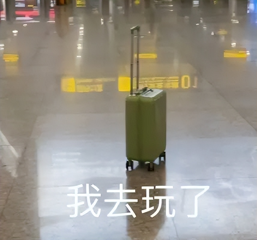 收藏打卡！坪山区原来有这么多地方可以逛，免费又好玩